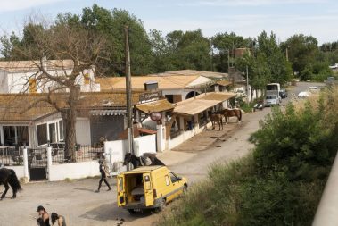 Portiragnes Plage Ferienhaus Pferde und Menschen
