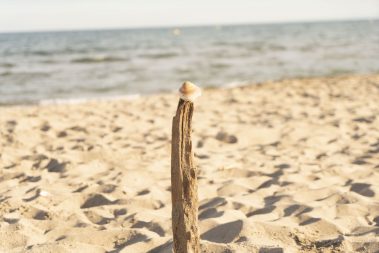 Portiragnes Plage Ferienhaus am Mittelmeer in Frankreich am Strand mit Muschel und Holz