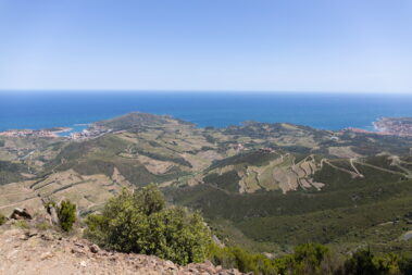 Pyrenäen Weinberge in Südfrankreich